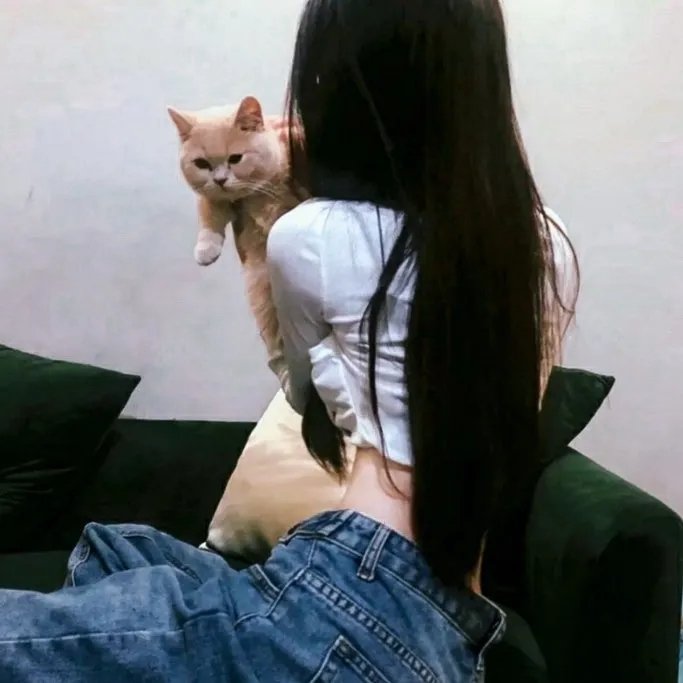 猎杀前线3：不死战队 在线观看